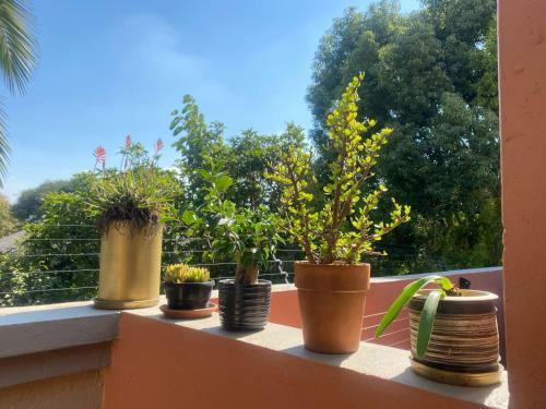 Apartamento Harken House, Your Home Away From Home!