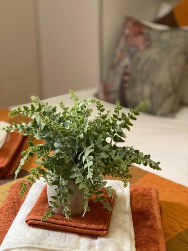 Apartamento Harken House, Your Home Away From Home!