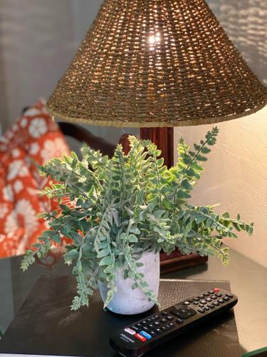Apartamento Harken House, Your Home Away From Home!