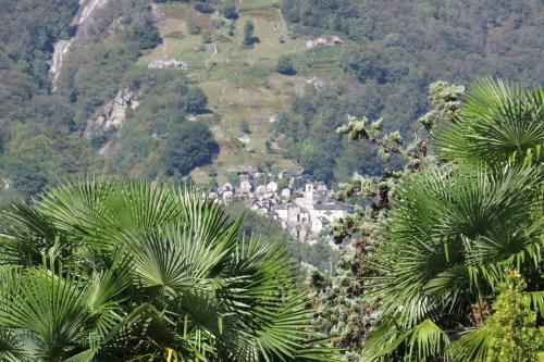 Hotel Pizzo Vogorno