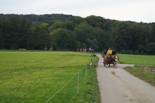Agroturismo Bolderhof