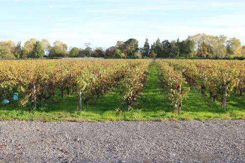 Bed & Breakfast Ch�teau Beau-site