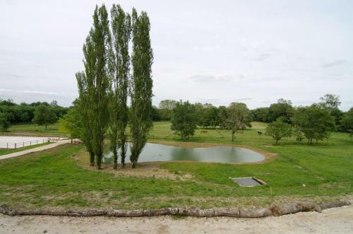Bed & Breakfast Ch�teau Beau-site