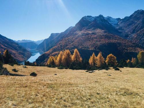 Hostal Hotel Adler Garni