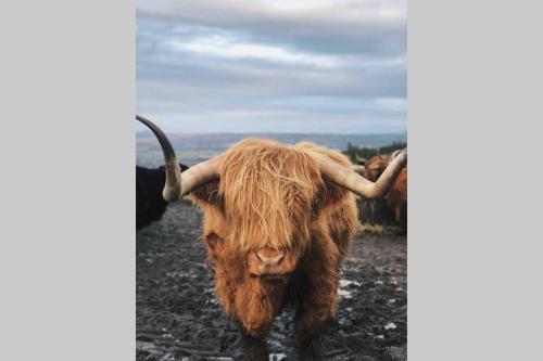 Highland Hottub Retreat, On Nc500