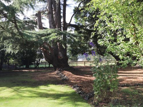 The Secret Garden