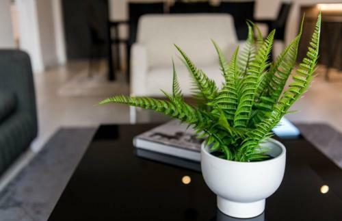 Apartamento Misizulu Kazwelithini Properties