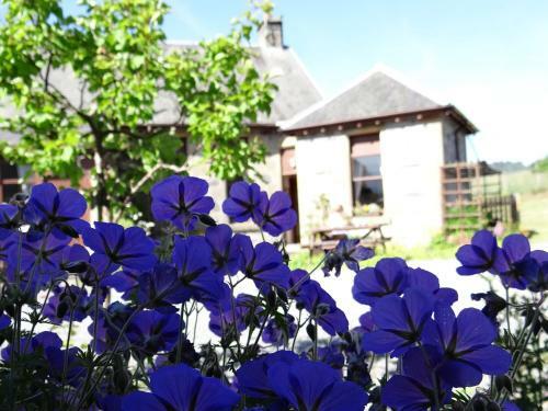 Shetland Cottage Kincraig
