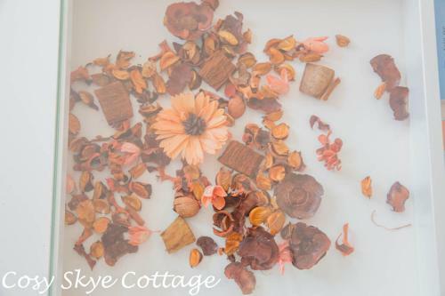 Cosy Skye Cottage