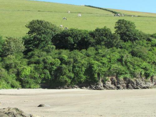 Lower Great Torr
