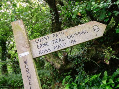 Lower Great Torr