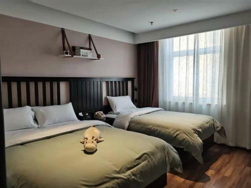 Hotel ?????????????????