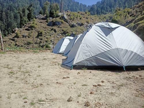 Deepforest Camps With Lake View