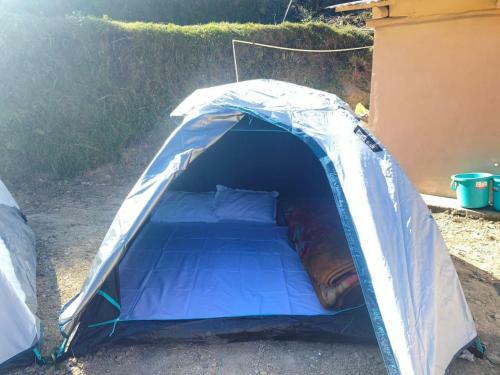 Deepforest Camps With Lake View