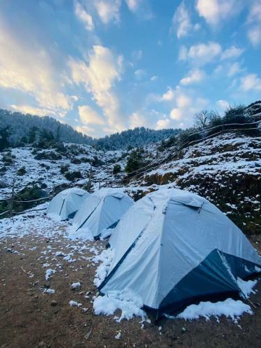 Deepforest Camps With Lake View