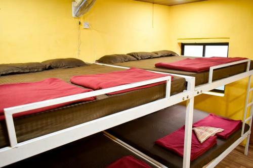Tiger Camp Jungle Homestay