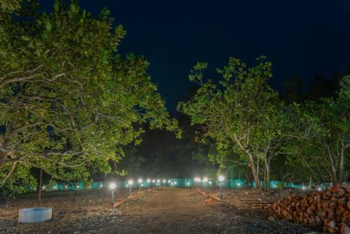 Tiger Camp Jungle Homestay