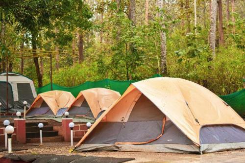 Tiger Camp Jungle Homestay