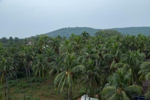 Hotel Fairfield By Marriott Goa Calangute