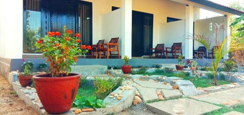 Barrel Homestay Areguling