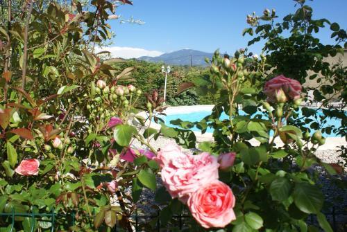 Bed & Breakfast Les Romarins
