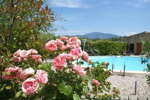 Bed & Breakfast Les Romarins