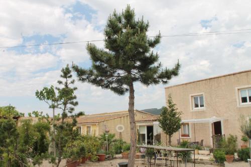 Bed & Breakfast Les Romarins