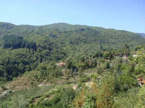 Villa Deimori Lamassa