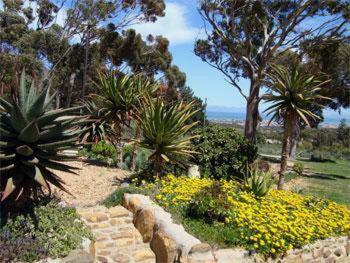 Hostal Apricot Gardens Guesthouse