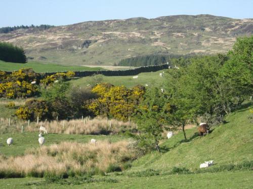 Barcloy Honey House