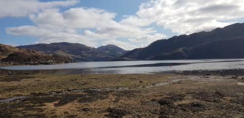 Ceol Na Ron - First Line Of The Beach