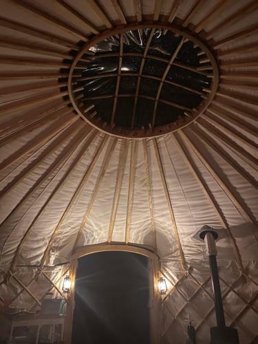 Blossom Orchard - Luxury Yurts