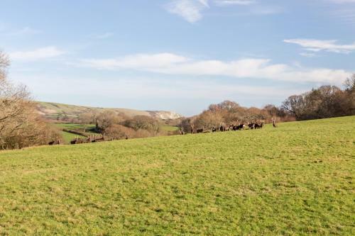 Yards Brake On 40 Acres Of Private Land