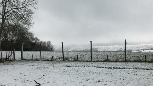 Yards Brake On 40 Acres Of Private Land