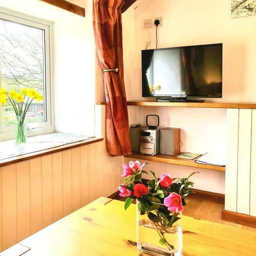 Ta Mill Cottages & Lodges - Smithy Cottage