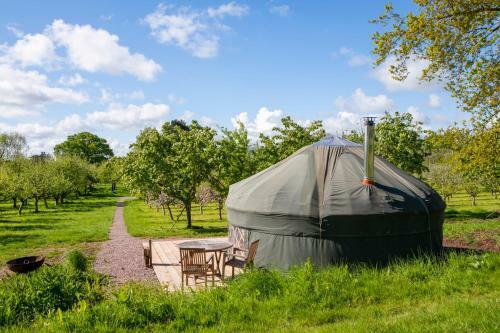 Agroturismo Dragon Orchard Retreat