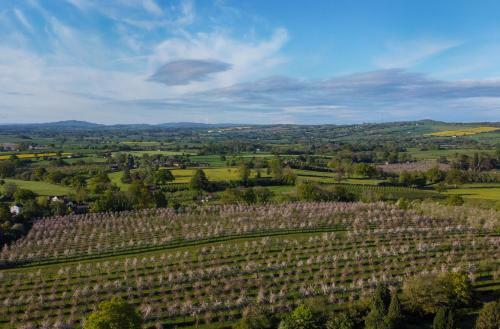 Agroturismo Dragon Orchard Retreat