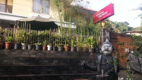 Homestay Triniti