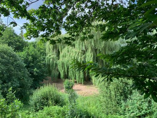 Wensum Glamping
