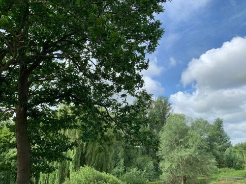 Wensum Glamping