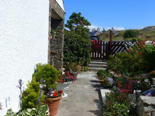 Bed & Breakfast Glenhouse