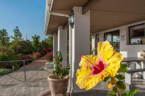 Hostal Wind-rose Guest House