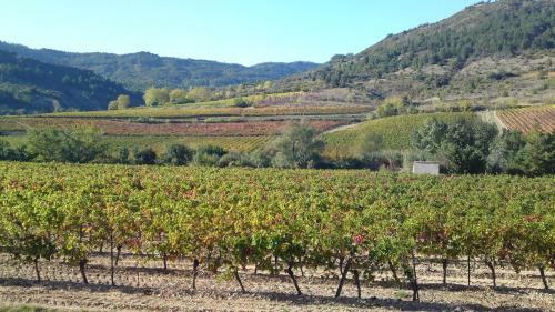 Bed & Breakfast Relais De L'alsou