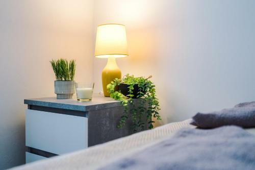 Modern Liverpool Apartment, Entire Flat, Private, Free Wifi & Netflix