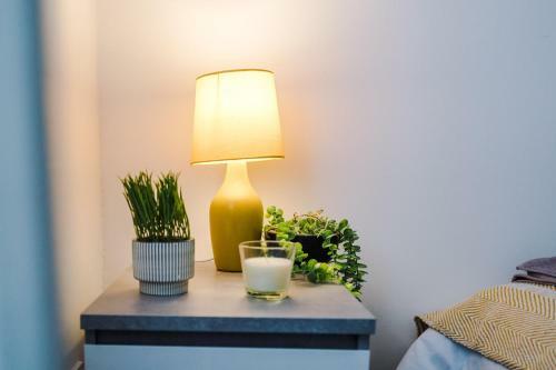 Modern Liverpool Apartment, Entire Flat, Private, Free Wifi & Netflix