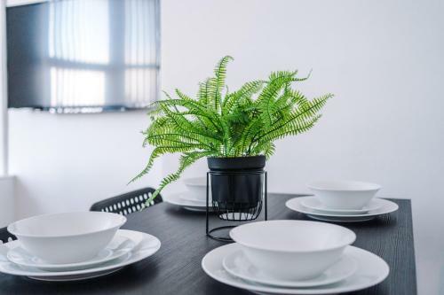 Modern Liverpool Apartment, Entire Flat, Private, Free Wifi & Netflix