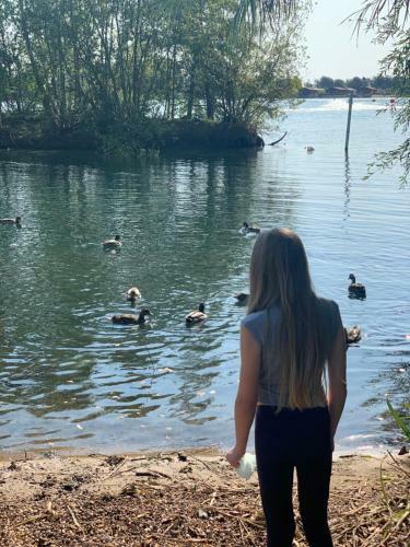 Holiday Home Breaks At Tattershall Lakes