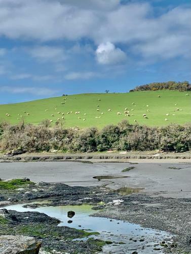 Gwel An Heyl, Padstow