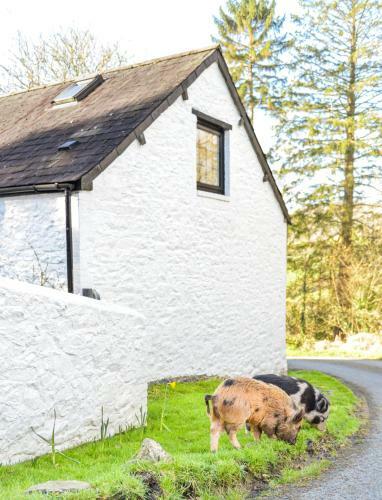 The Old Milking Parlour