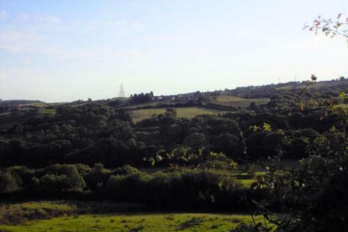 Bed & Breakfast Plas Newydd Farm